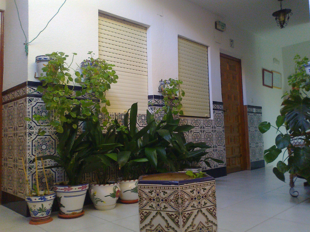 Pension Los Molinos主图