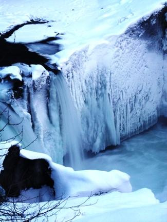 The Whistler Train Wreck Trail-惠斯勒必去景点