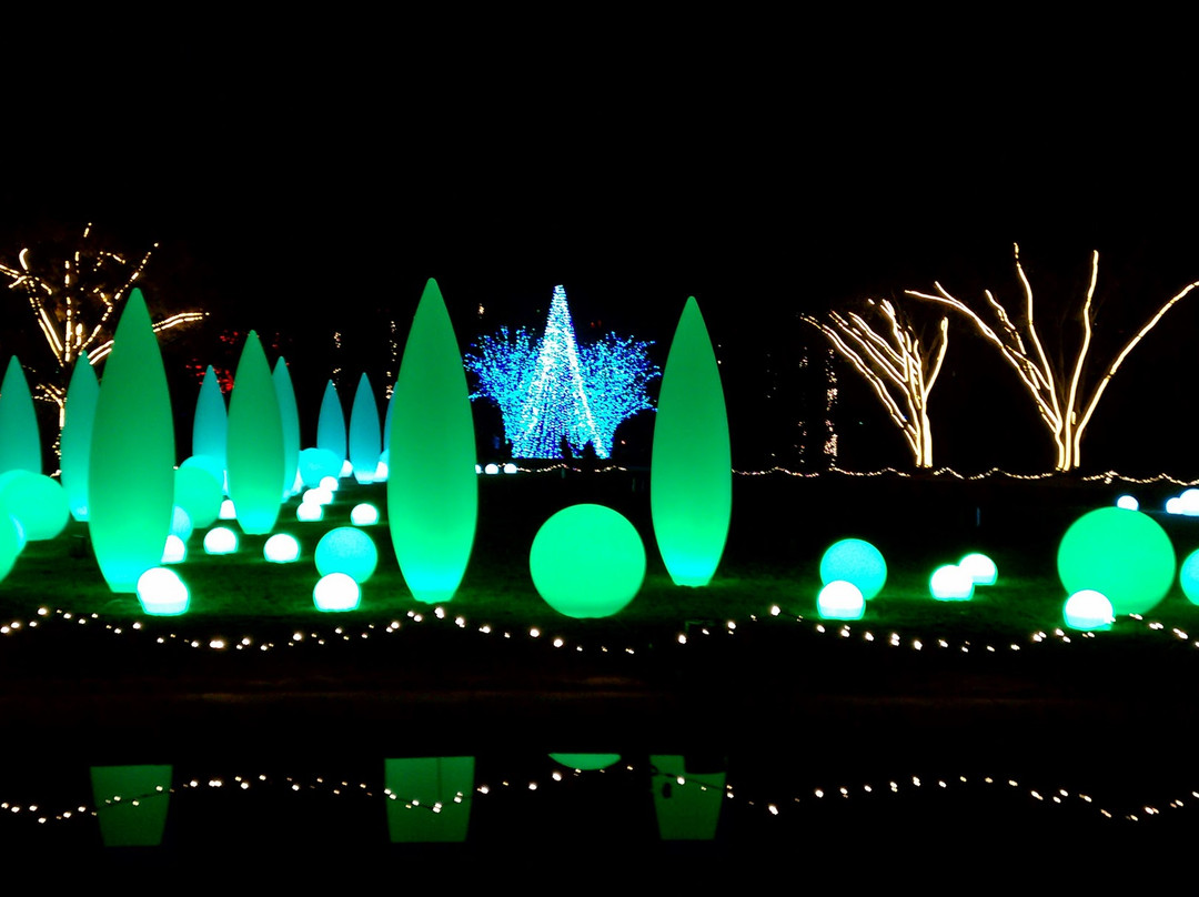 亚特兰大植物园-亚特兰大必去景点