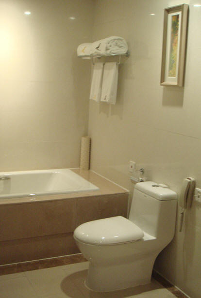 七彩国际大酒店主图