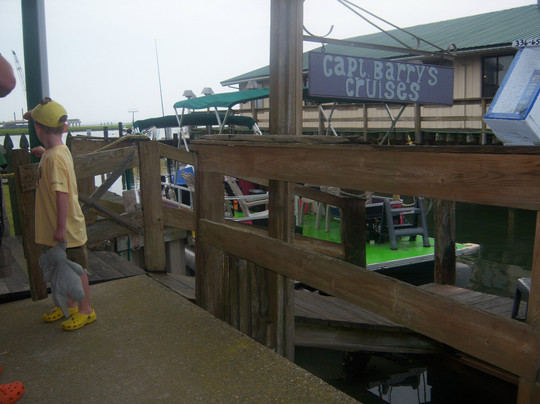 Captain Barry's BackBay Cruises-钦科蒂格岛必去景点
