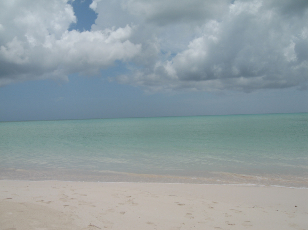 Bahamas Ocean Safaris景点图片