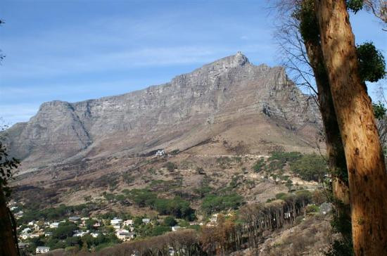 桌山-桌山国家公园必去景点
