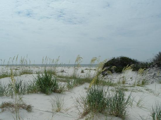Bon Secour National Wildlife Refuge-格尔夫海岸必去景点