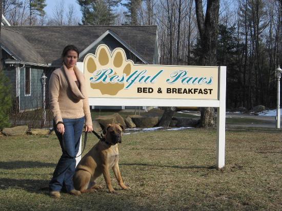 The Inn at Restful Paws-客卧