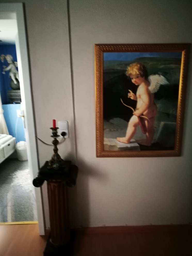 Waldhotel Auerhahn-官方