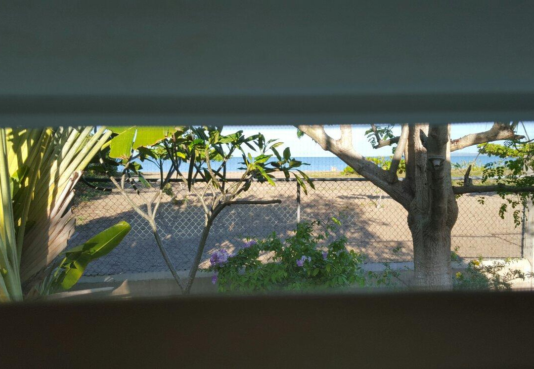 Black River餐馆和美食-Paradise Ocean View