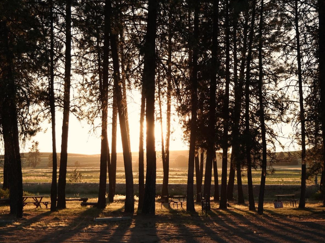 Peaceful Pines RV Park & Campground