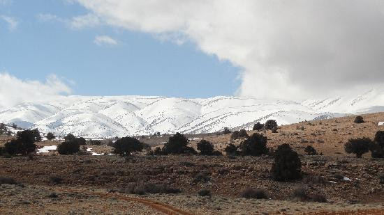 Lazzab Lodge