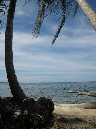 Cahuita National Park景点图片