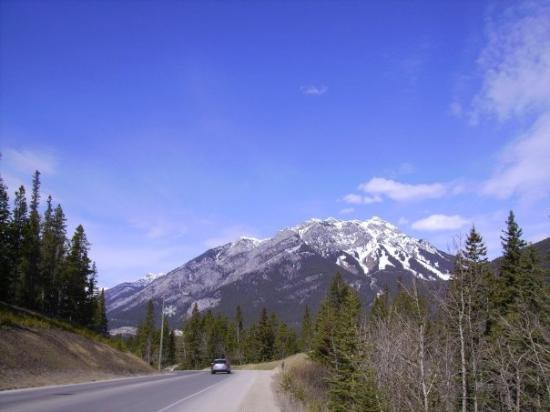 Banff Park Museum-班夫必去景点