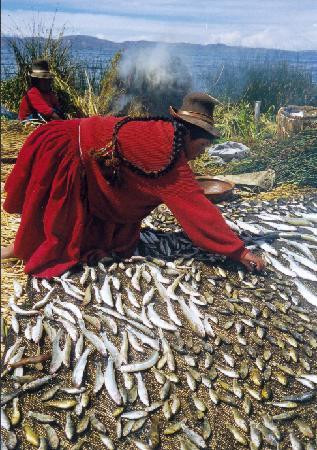 Lake Titicaca-普诺大区必去景点