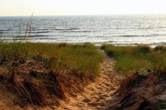 Oval Beach-索格塔克必去景点