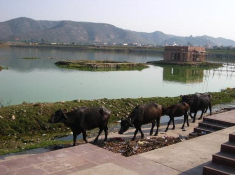 Jal Mahal-斋蒲尔必去景点