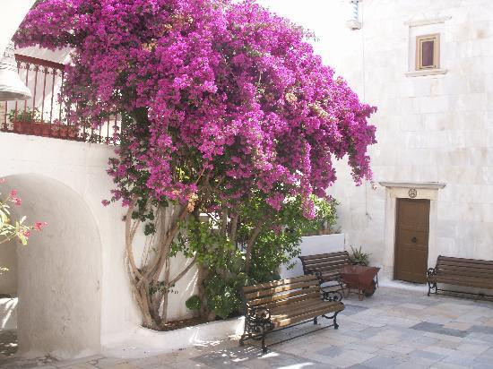 Monastery of Panayia Tourliani景点图片