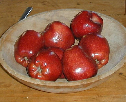 Fort Nisqually Living History Museum-塔科马必去景点