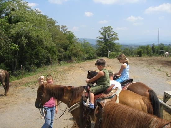 Smoky Mountain Deer Farm & Exotic Petting Zoo-塞维尔维尔必去景点