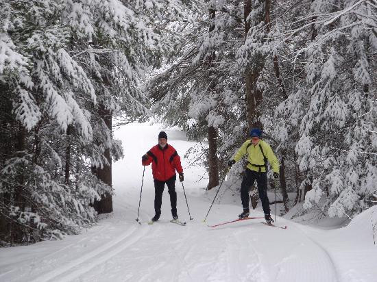 Lapland Lake Cross Country Ski Center景点图片