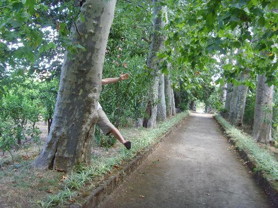 Correale di Terranova Museum-索伦托必去景点