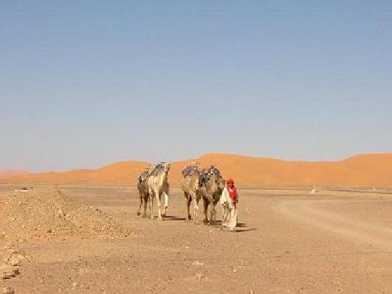 Merzouga Dunes-伊拉悉迪亚必去景点
