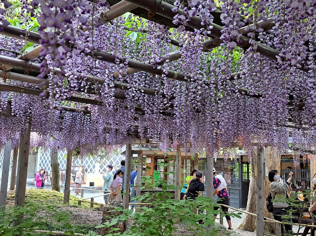 Northern Culture Museum景点图片