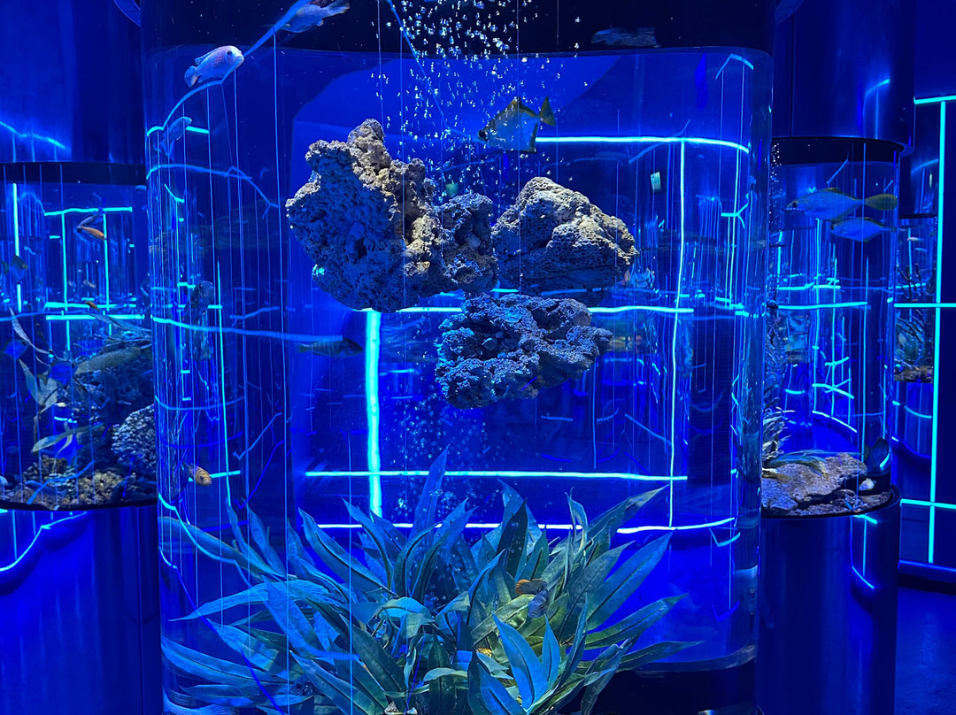 Center of  Oceanography and Marine Biology Delfiniya-新西伯利亚必去景点