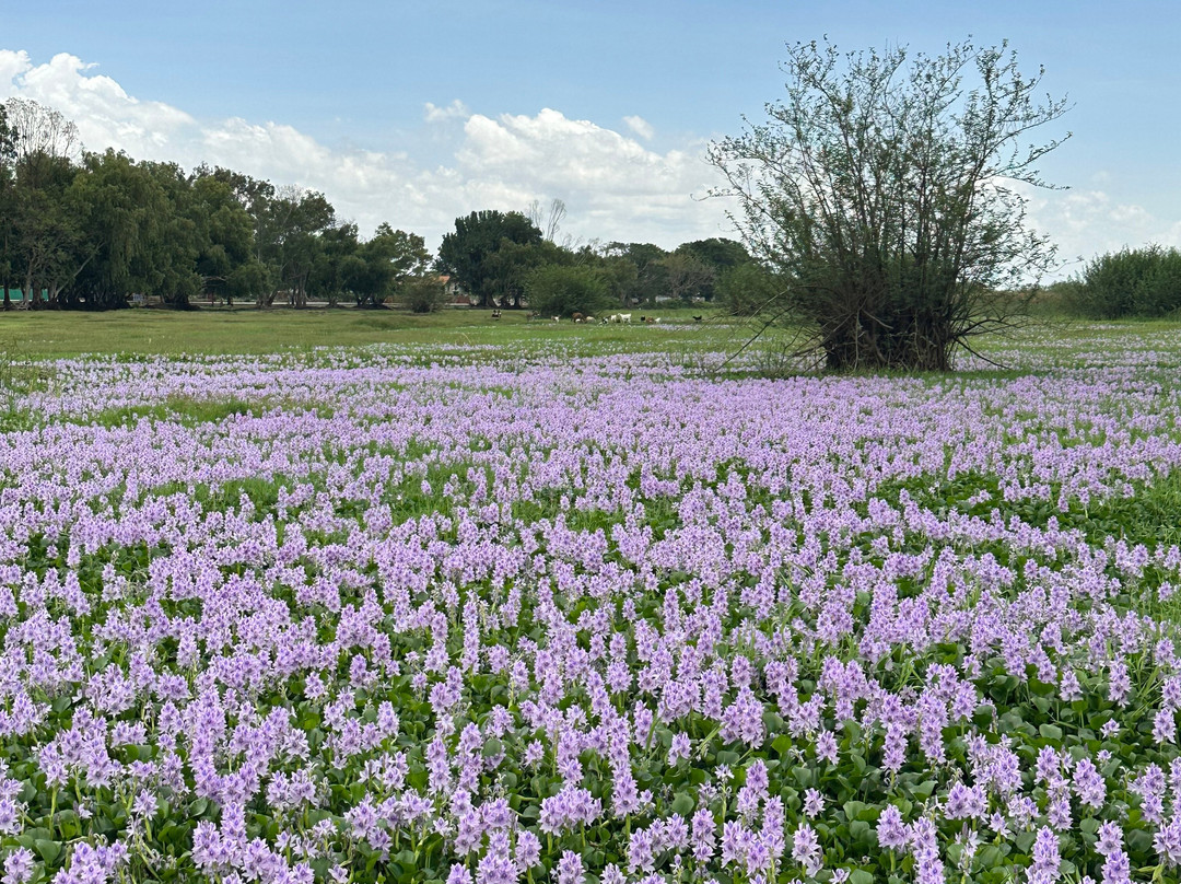 WALK IN ETHIOPIA TOUR AND TRAVEL-亚的斯亚贝巴必去景点