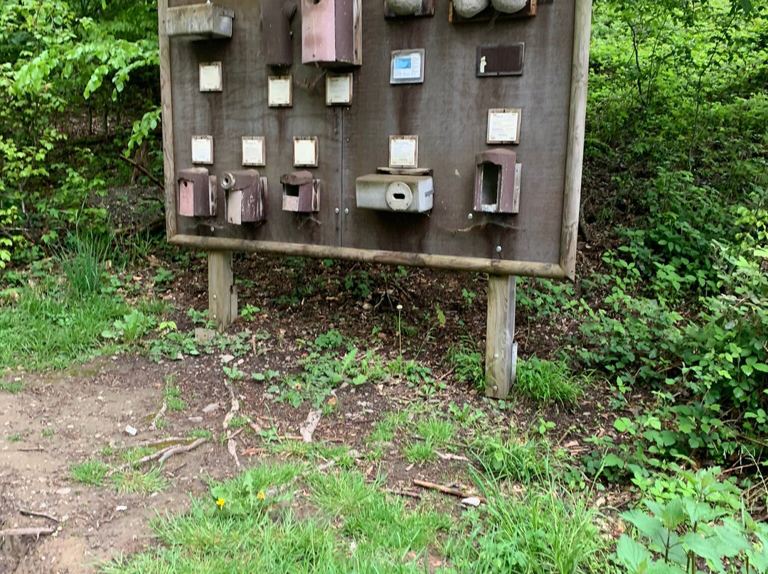 Wild- und Freizeitpark Westerwald景点图片