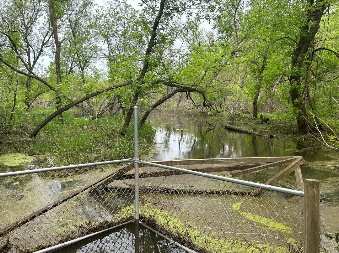 Izaak Walton Wetlands-罗切斯特必去景点