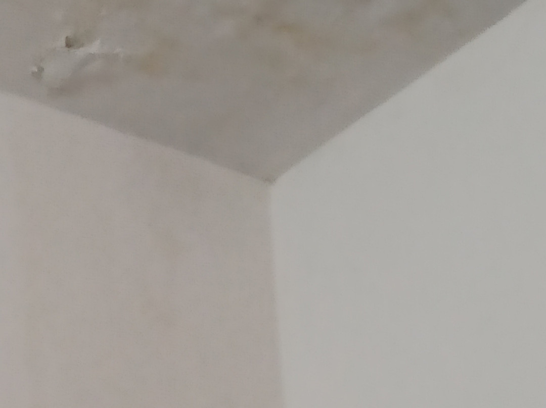 罗萨蒂酒店主图