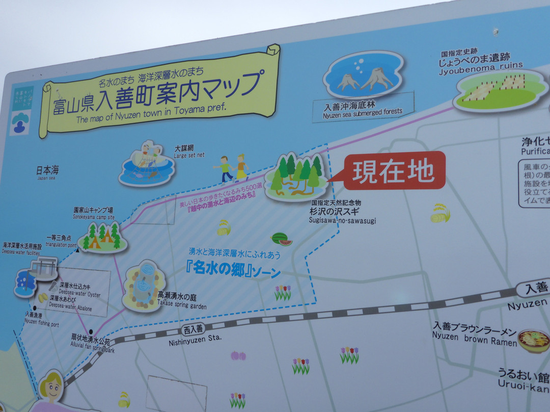 Sugisawa no Sawasugi-入善町必去景点