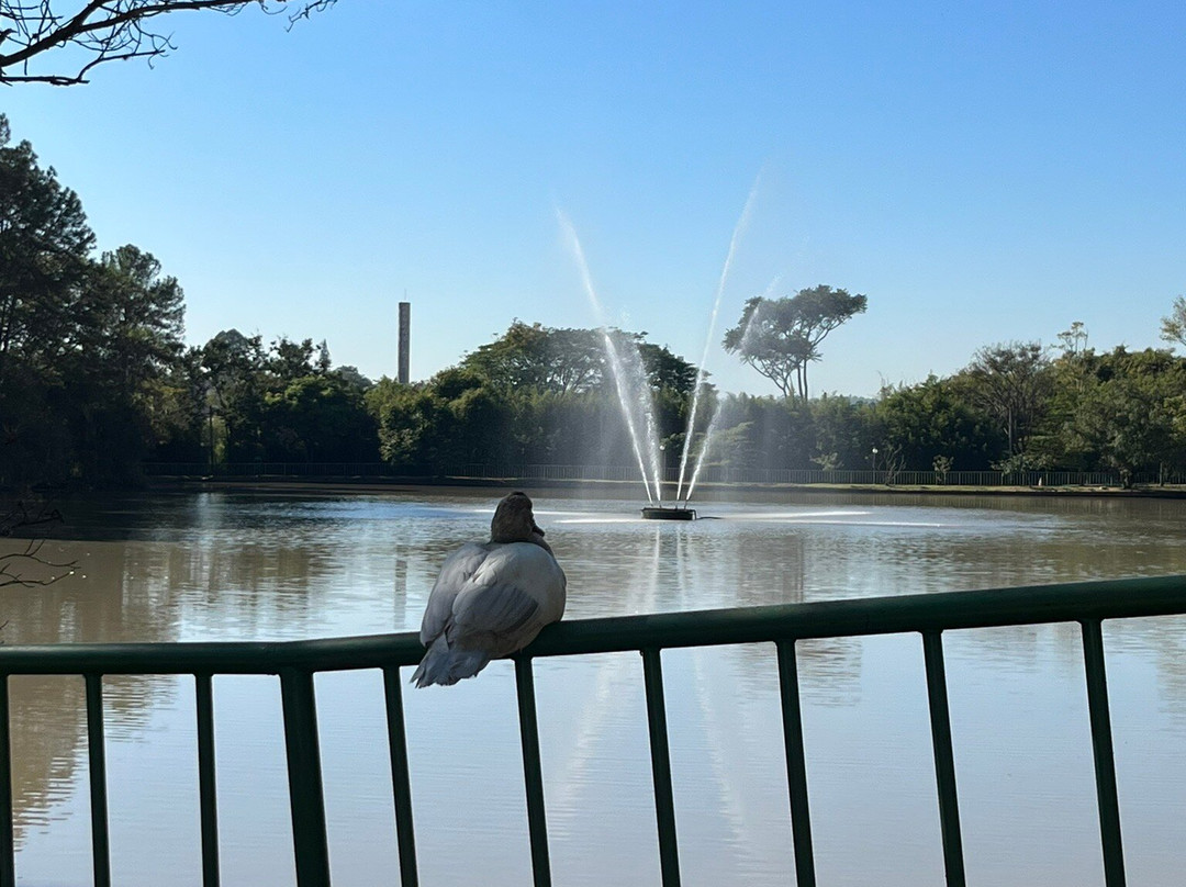 Museu da Agua de Indaiatuba-因达亚图巴必去景点