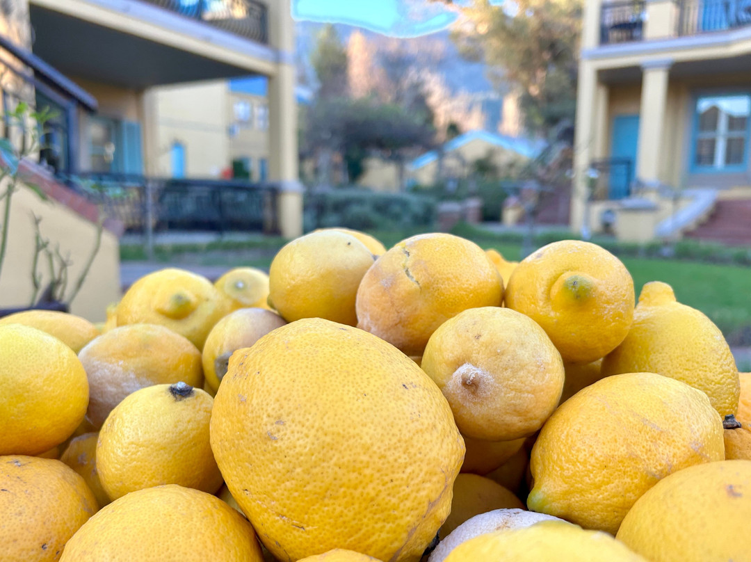 Franschhoek Country House & Villas主图