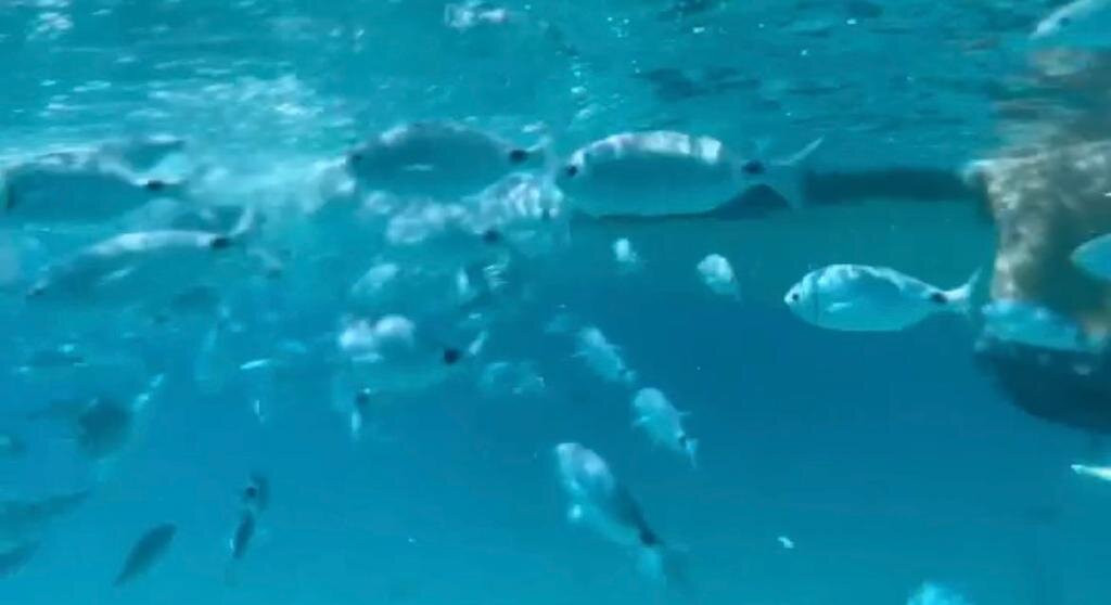 Tropea Blue Sea
