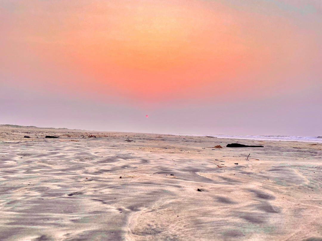 Paradeep Sea Beach景点图片
