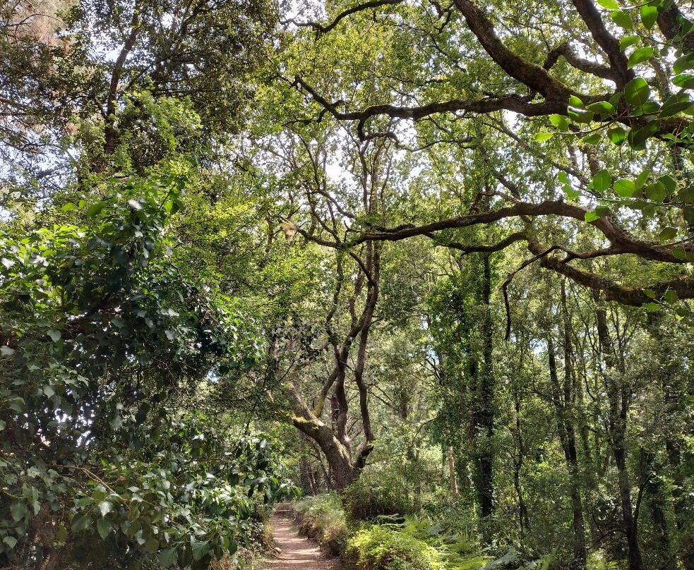 Sentier de la Vigie-La Trinite-sur-Mer必去景点