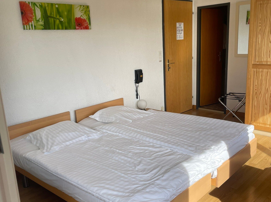 Hostellerie La Baie du Lac主图