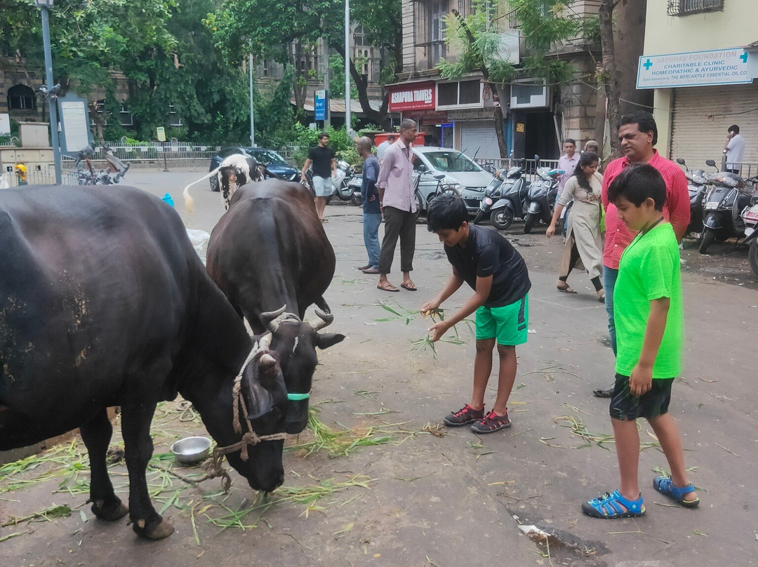 Linda Tours Mumbai-孟买必去景点