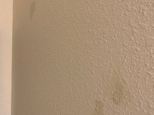 Best Western Plus Peoria主图