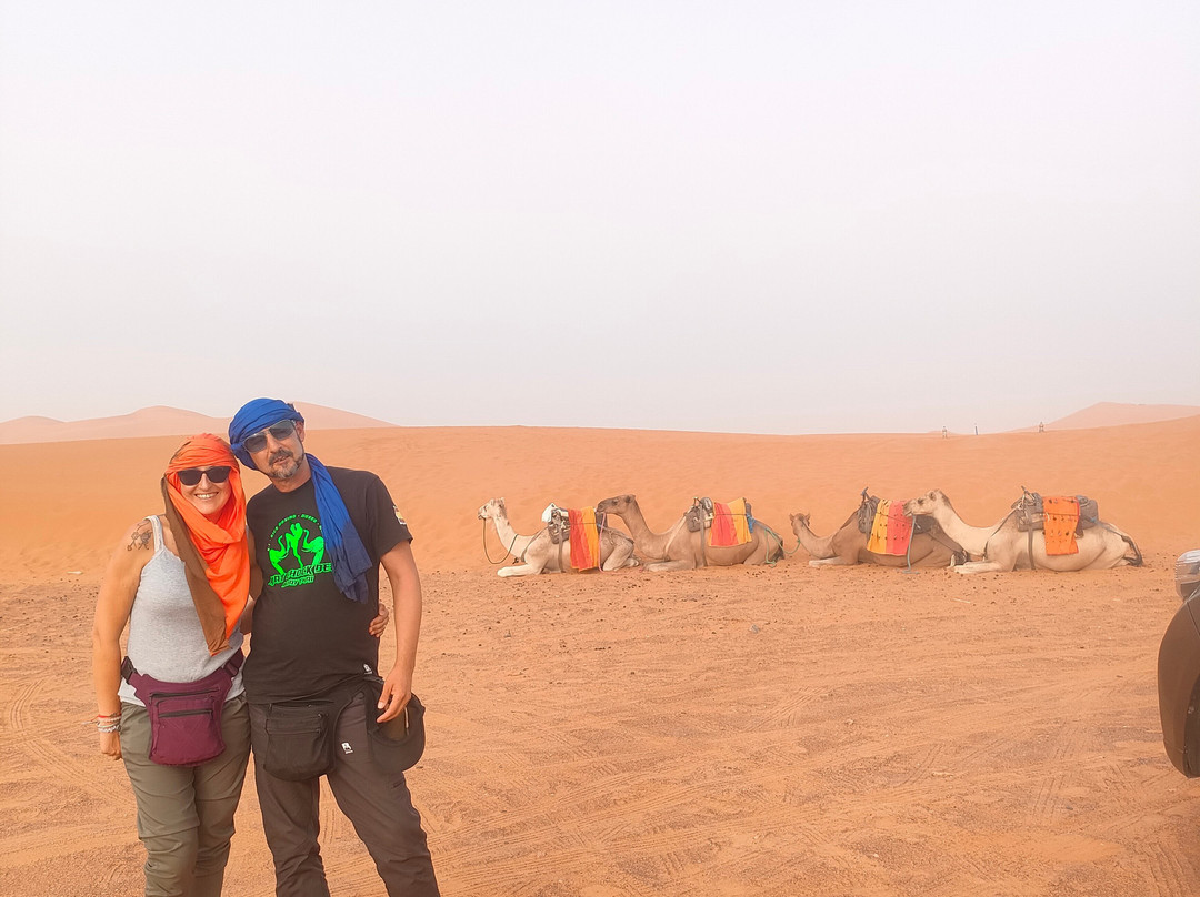 Morocco Camel Riding景点图片