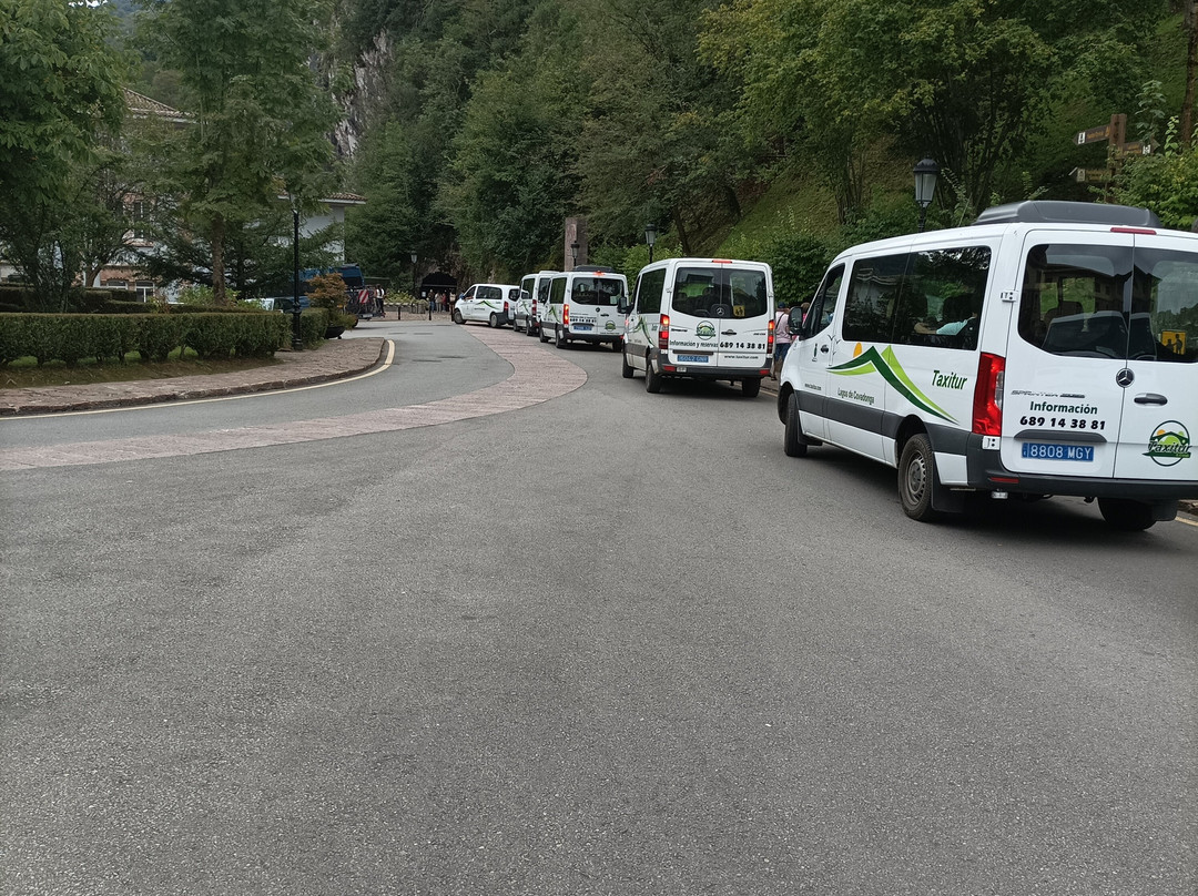 Taxitur Lagos de Covadonga景点图片