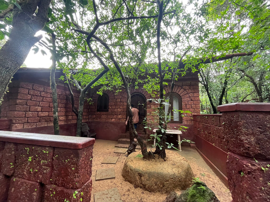 Whistling Woods Amboli主图