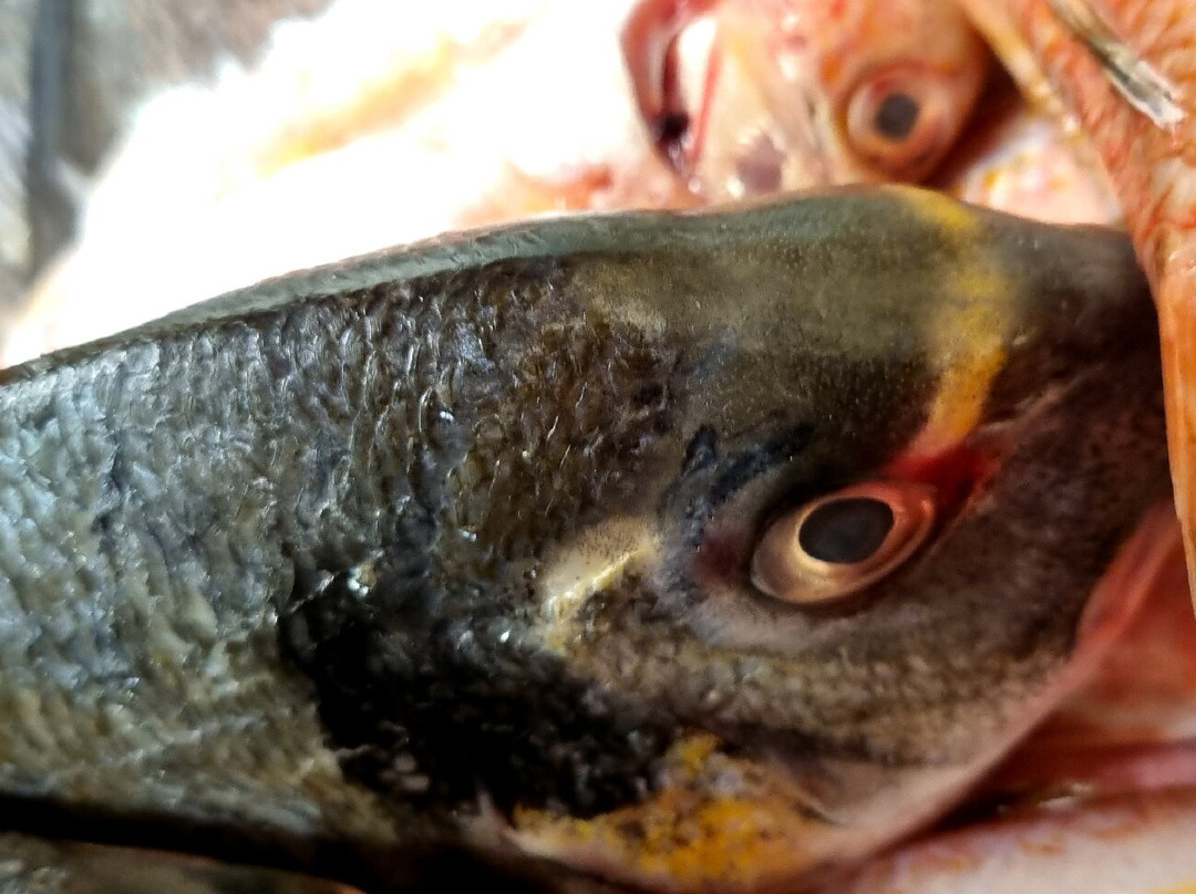 Il Vesuvio é da Noi