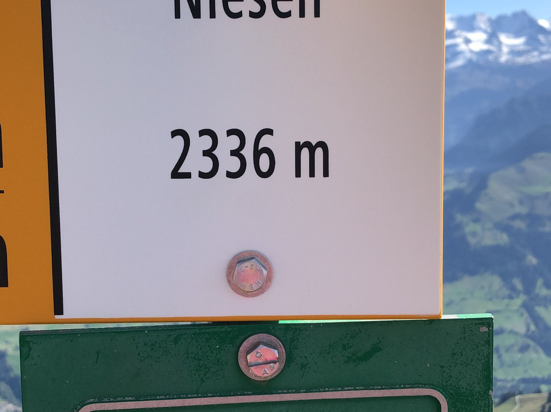 Niesenbahn-Muelenen必去景点