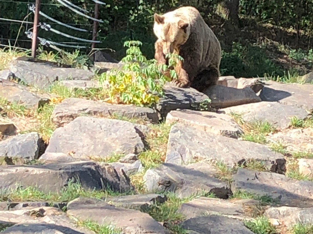 Zoo Plzen景点图片