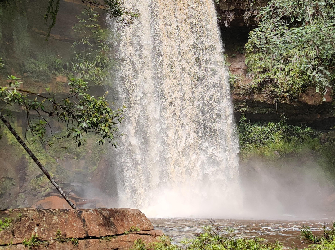 Maliau Basin Conservation Area-斗湖必去景点