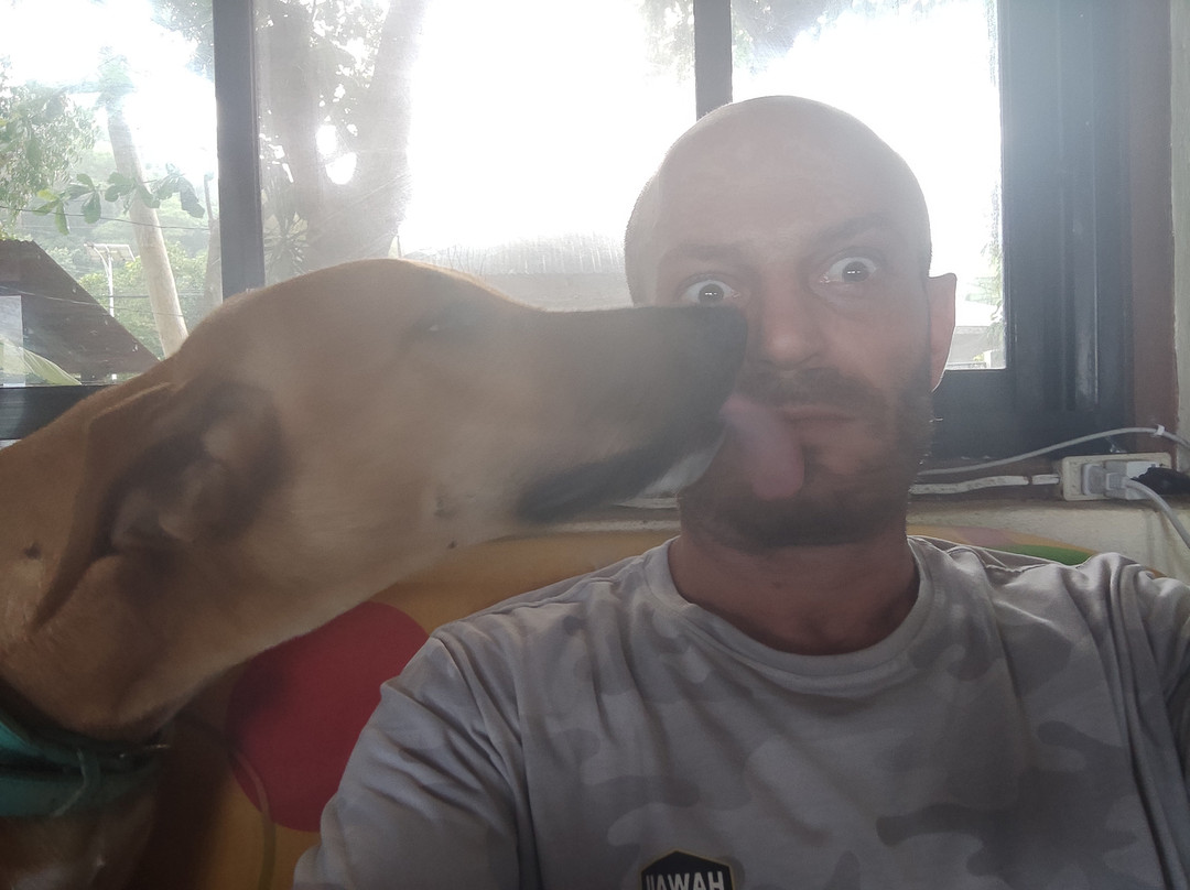 Paseo Del Mar Seaside Dive Inn主图