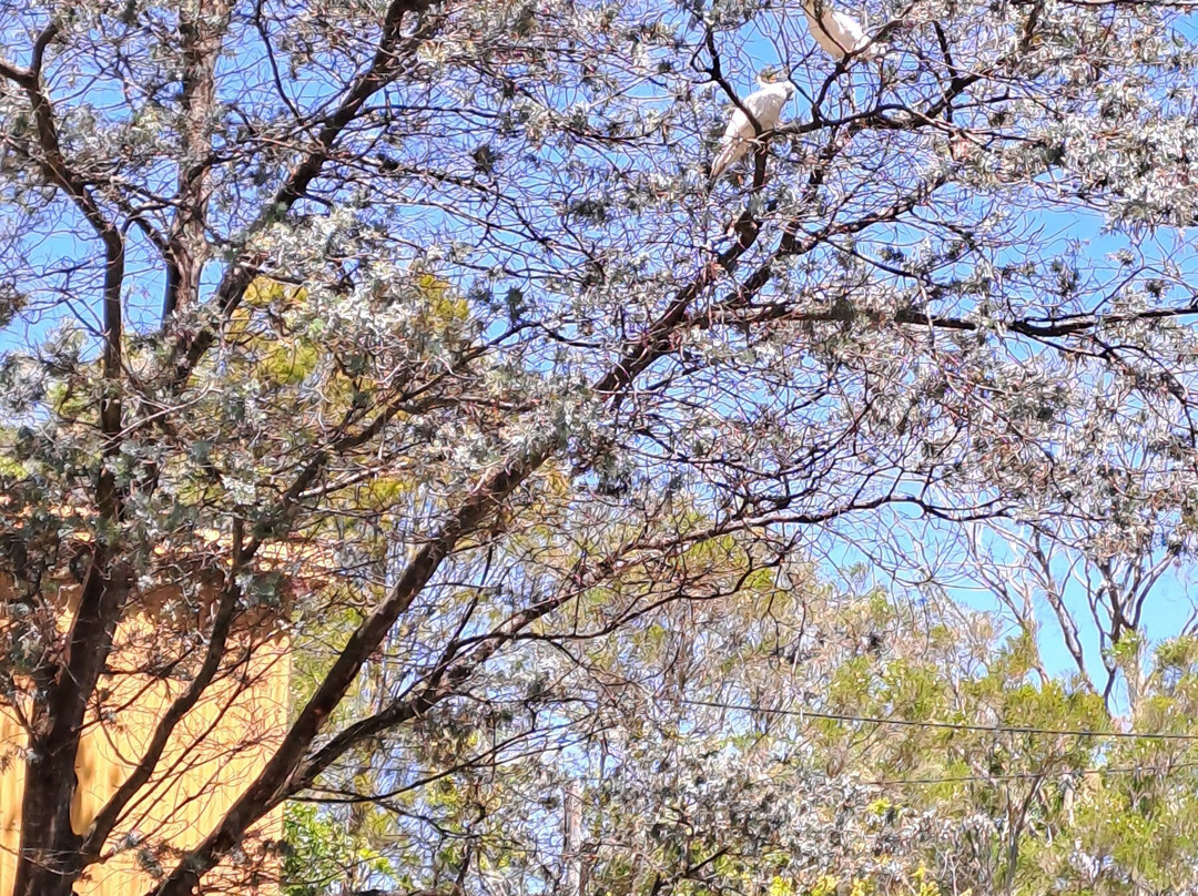 Bundanoon Hotel主图