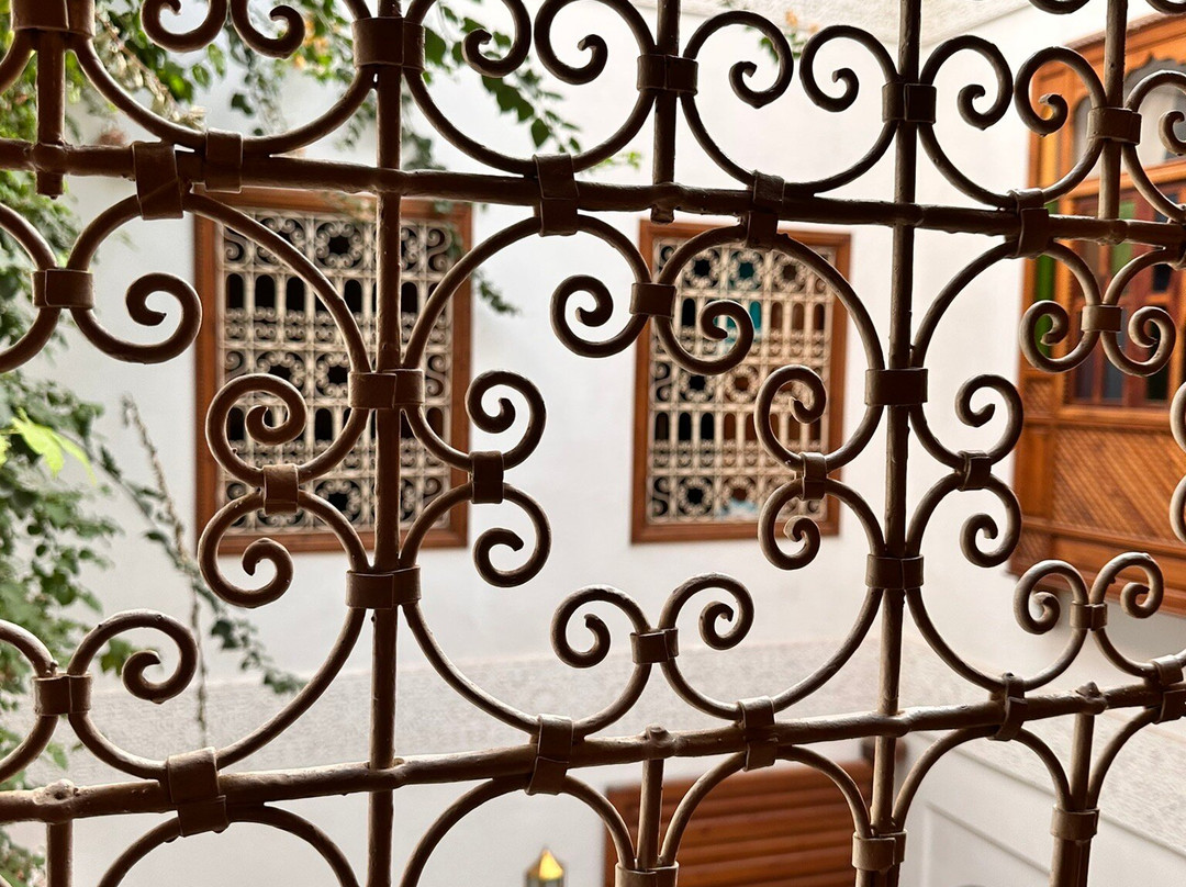 Iconic Morocco Tours-非斯必去景点