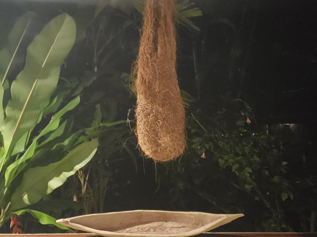 Atlantida Lodge主图